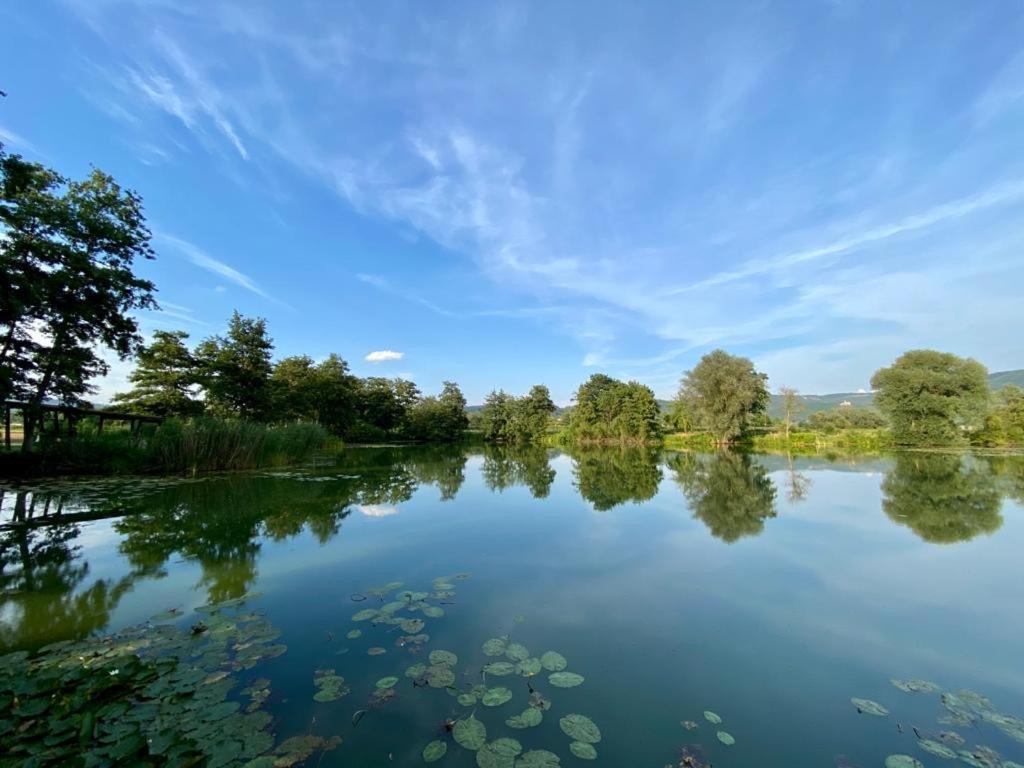 Fewo Werragold Bad Sooden-Allendorf Exterior foto